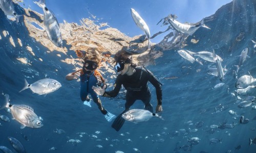 Aletas de buceo con bungees - Escuela y Centro de Buceo en Barcelona y  Costa Brava en Lloret de Mar