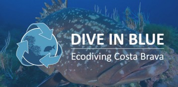 ECODIVING COSTA BRAVA - DIVE IN BLUE